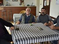 Ağaçlar 1 yıl içinde kuruyacak