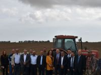 Sertifikalı arpa tohumu üretilecek