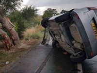 Ağaca çarpıp yan yattı