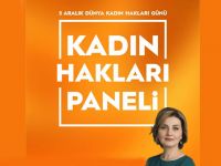 UBP Kadın kolları kadın hakları paneli düzenliyor