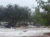 Selvitepe'ye 246 kg yağış