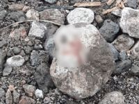 Kanlı taş bulundu