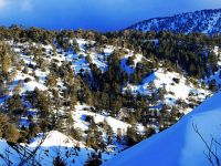 Trodos’a kar yağışı bekleniyor