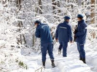 Almanya'dan ihbar geldi, Bolu Dağı'nda harekete geçildi