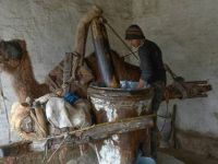 Mogadişu'da susam yağını 200 yıldır develer sıkıyor