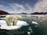 12 Metropolden iklim değişikliği kararı