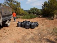 Boğaz Piknik Alanı temizlendi