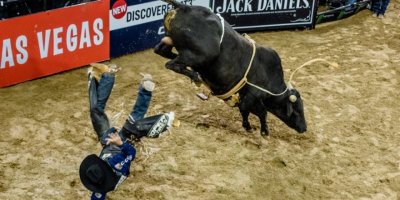 New York'ta Rodeo heyecanı