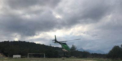 Çam kese böceğine karşı mücadelede 6 bin 300 hektarlık alan ilaçlandı