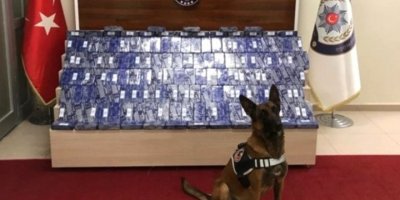 72 kilo eroini narkotik köpeği 'Zeyna' buldu