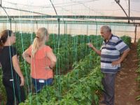 Yediklerimiz artık daha temiz