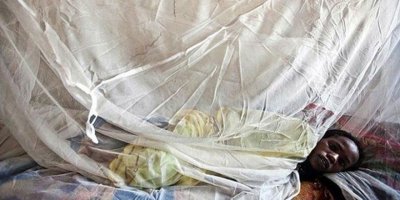 Nijerya'da Lassa sıtması 146 can aldı