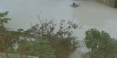 Yüzlerce ağaç yerle bir oldu!