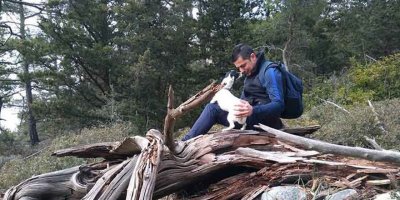 Maylo doğa yürüyüşü sırasında zehirlendi