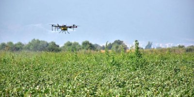 Tarım Bakanlığı : “Ot toplanmamalı ve tüketilmemeli”