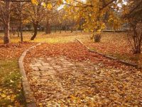 Sonbahar depresyonunun 10 belirtisi