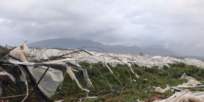 Antalya'daki yıkımın sorumlusu kim