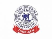 Türk-Sen, geçicilerin kadrolanması çağrısını tekrarladı