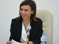 Dilekçe ve Ombudsman Komitesi toplandı