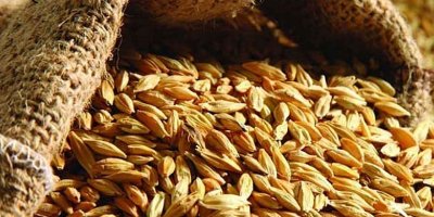 TÜK arpa fiyatında indirim yapılacağını açıkladı