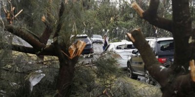 Avustralya'daki fırtına 40 bin ev ve iş yerini elektriksiz bıraktı