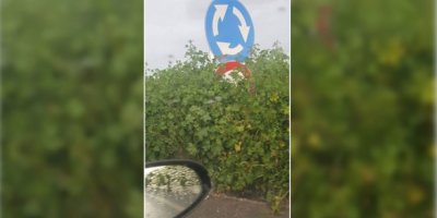 Bulmaca gibi tabela çözmek lazım