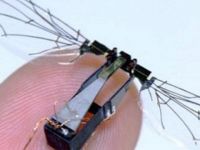 Suya dalıp çıkabilen robot arı üretildi