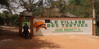 Senegal'de kaplumbağalara ait bir köy: "Keur mbonatt yi"