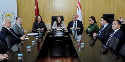 Böbrek rahatsızlıkları genetik olarak araştırılacak