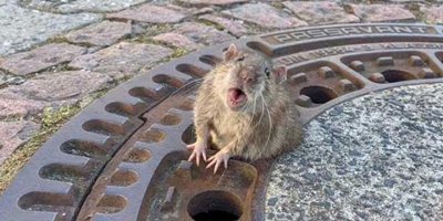 Yardım çığlığı cevapsız kalmadı!