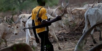 Nijerya'da çobanlar ile çiftçiler arasında çatışma: 7 ölü