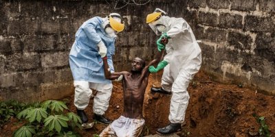 KDC'deki ebola ölümleri 500'e yaklaştı