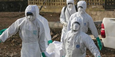 Domuz gribi salgını 3 ayda 605 can aldı