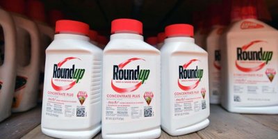 Glifosat davasında Bayer'e ilk darbe