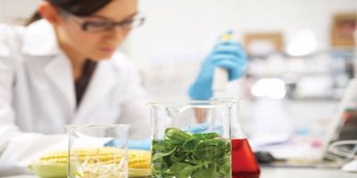 6 numunede limit üstü