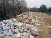 Bu ormanın ‘BAKANI’ yok!