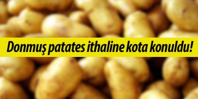 Donmuş patates ithaline kota konuldu!