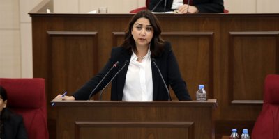 “Emirnamenin halka sorulmadan yapıldığı  söylemi doğru olmaz"