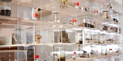 Herbaryum müzesi Nisan ayında açılıyor