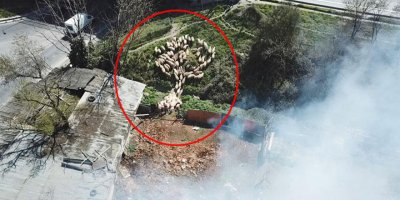 İstanbul'da hareketli dakikalar!