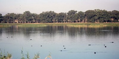 Biriken su kontrolsüz şekilde bölgeye yayılmaya başladı