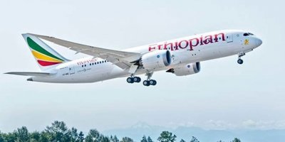 "Uçağı kontrol etmeyi başaramadı"