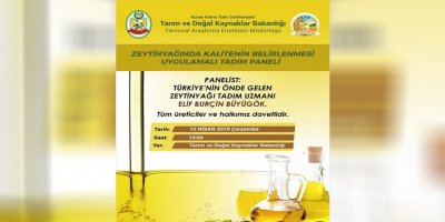 Zeytinyağında kalitenin belirlenmesi ve uygulamalı tadım paneli düzenleniyor
