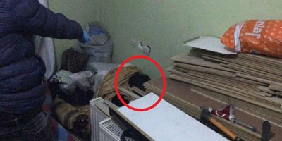 Bursa’da vahşet! Annesinin de cesedi bulundu…