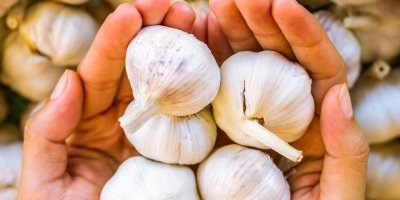 Sarımsağın yeni faydası ortaya çıktı