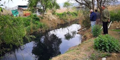 İsveç'te nefret suçlarının yarısı müslümanlara karşı işleniyor