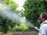 Yayla’da tarım ilaçları konusunda bilgilendirme yapılacak