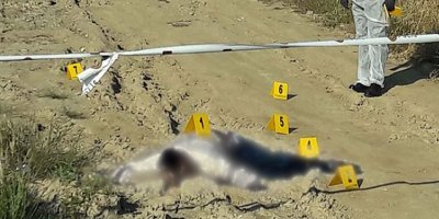 Cinayette flaş gelişme!