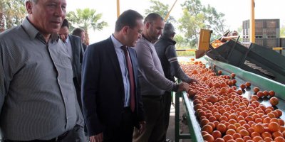 Şahali: “Narenciyede dönüştürücü adımlar atmak temel vazifemiz”