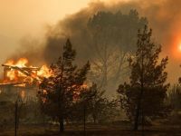 Kaliforniya’daki yangının zararı 3,3 milyar dolar